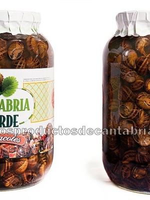 CARACOLES CANTABRIA VERDE 4000 gr